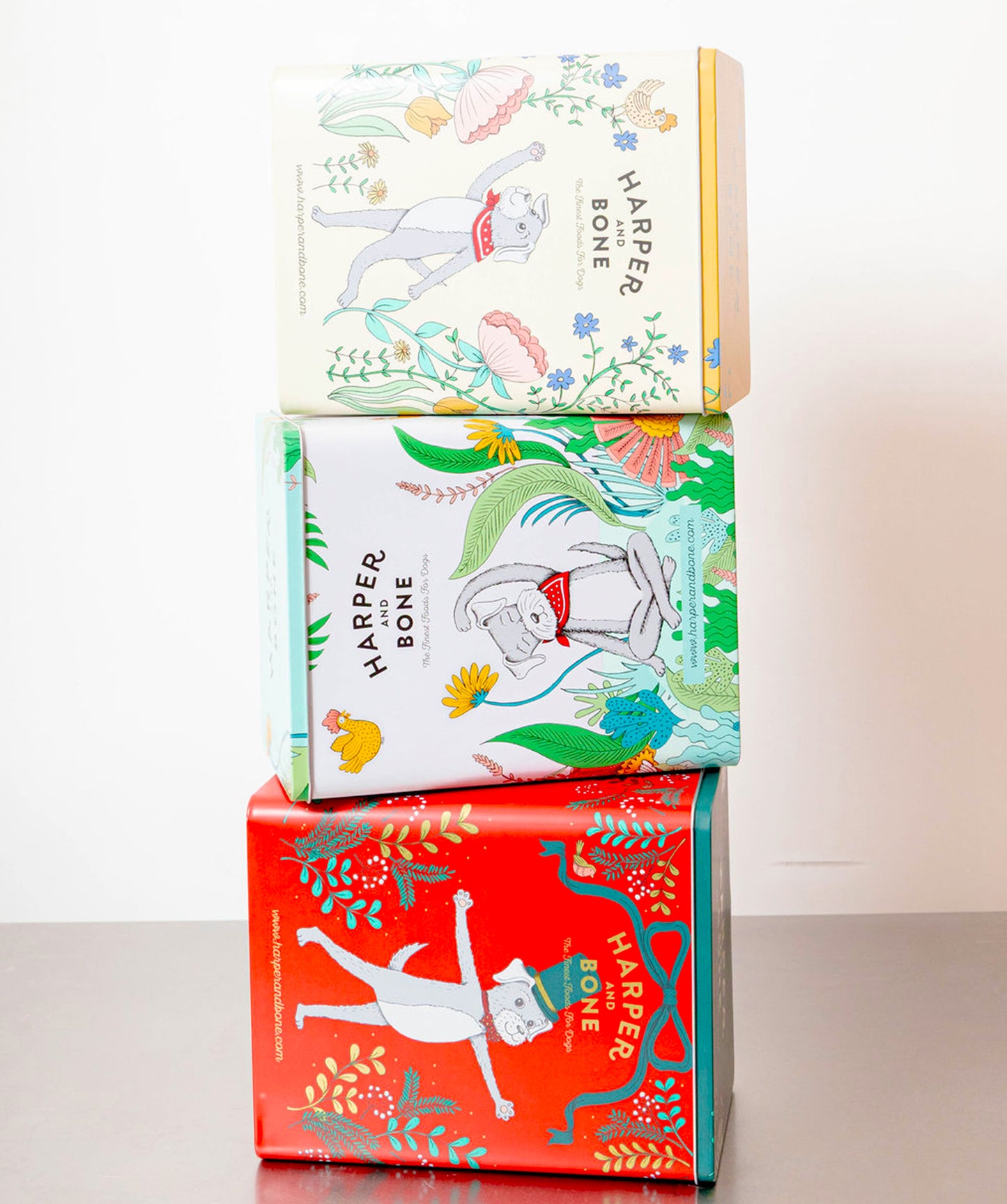 Caja metálica - Harper & Bone