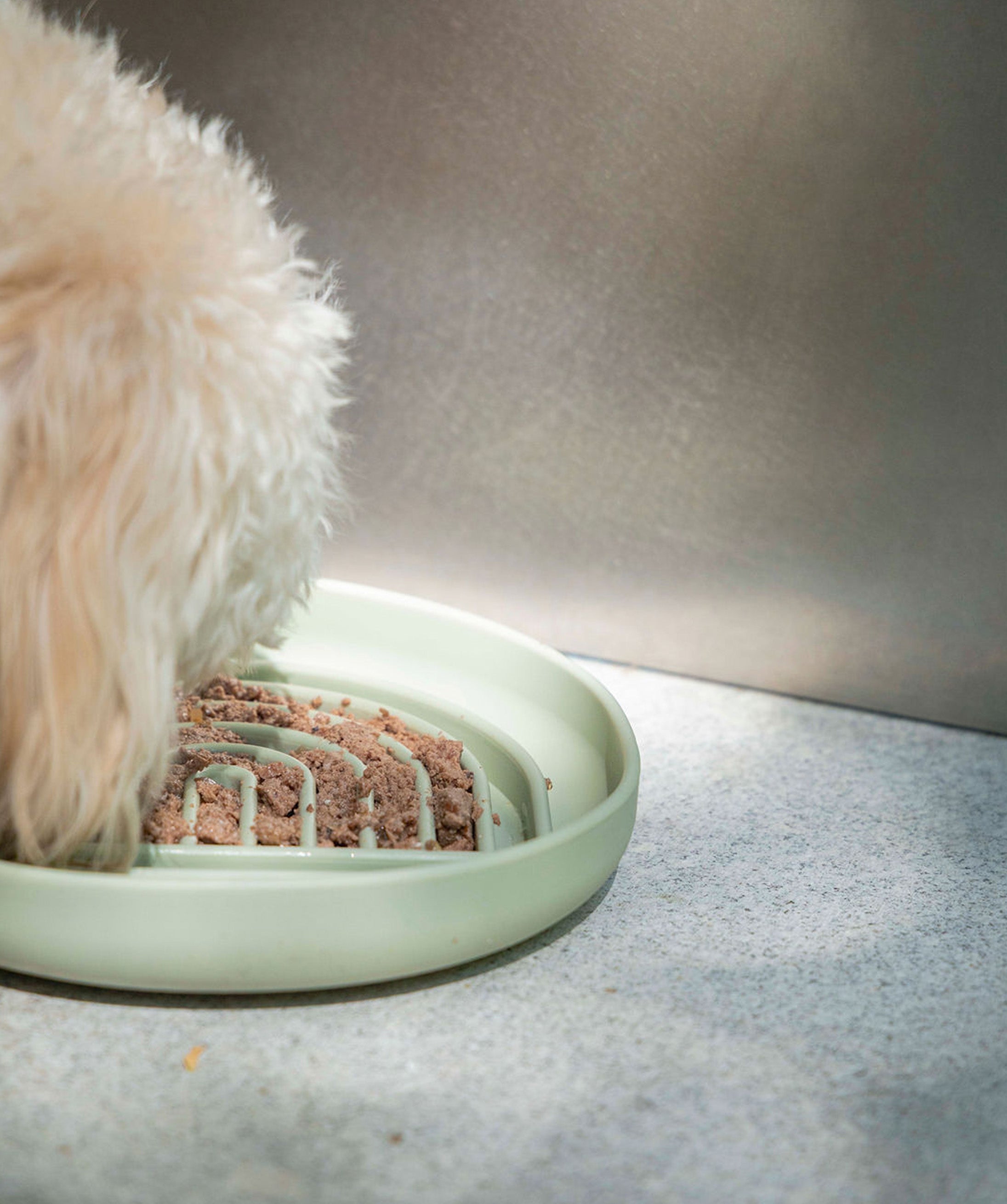 Slow Feeder For Pets