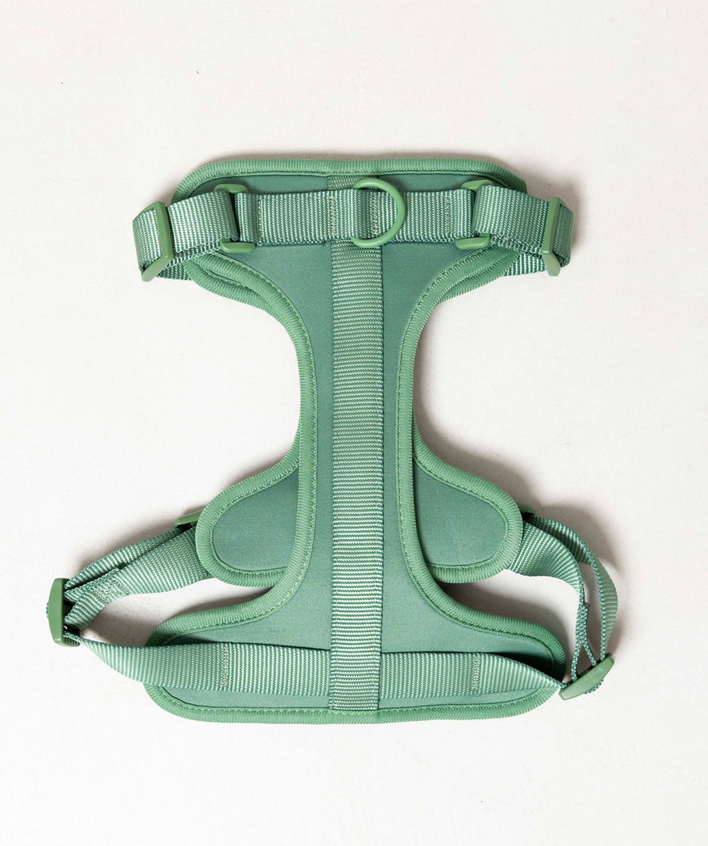 Smart Harness