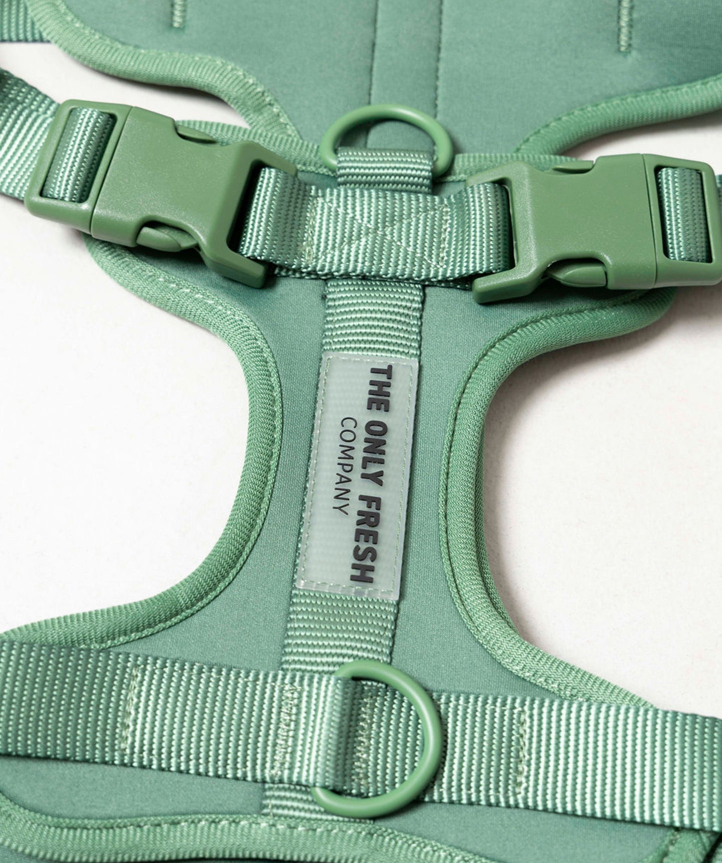 Smart Harness