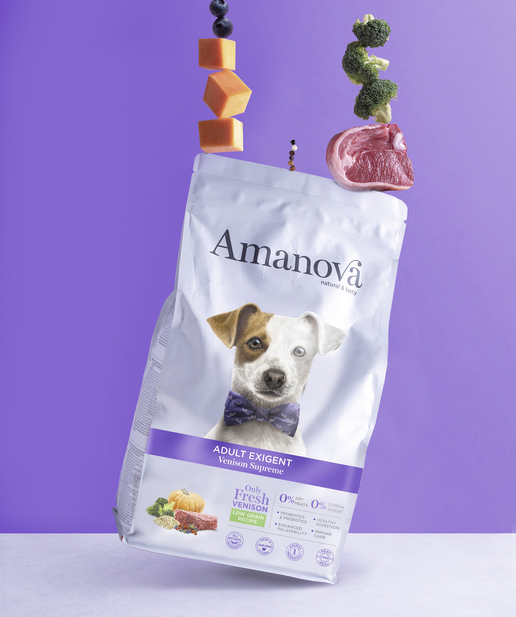 ドッグフード Amore Grain Free Iberian Pork food for adult dogs | Amanova – Onlyfresh.com