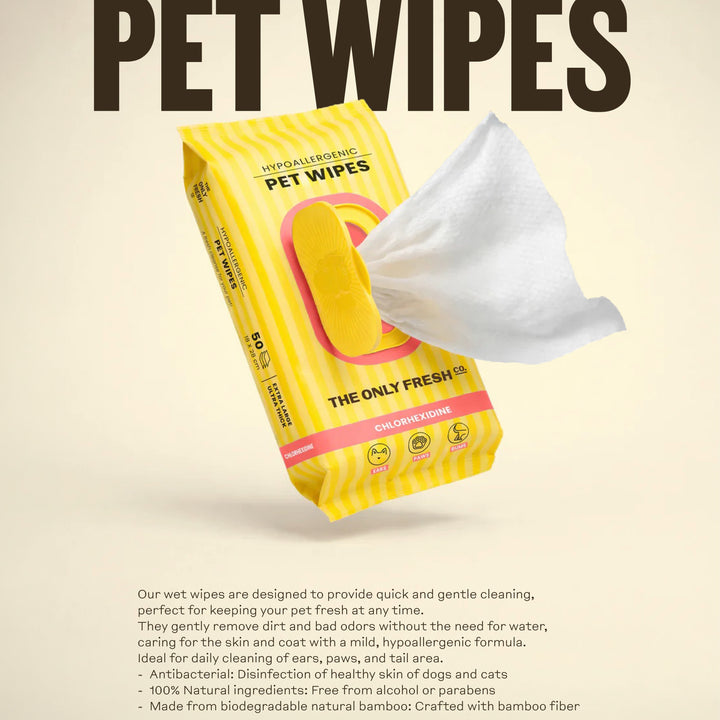 No matter the season: keep your dog fresh any time 🧡