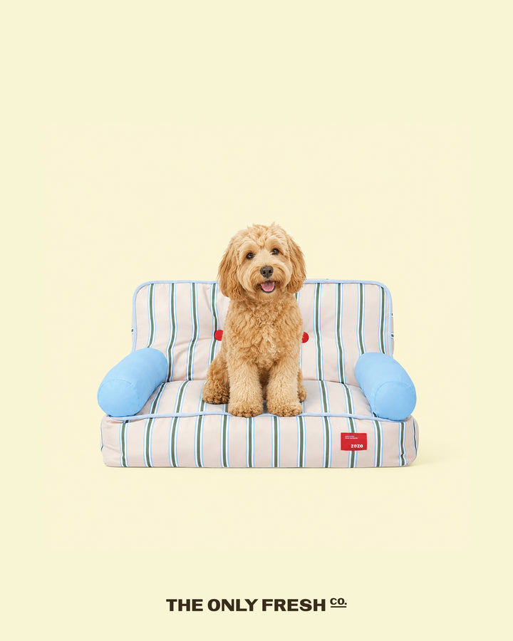 Your dog has taste. We simply enable it. 💁🏼♀️🧡