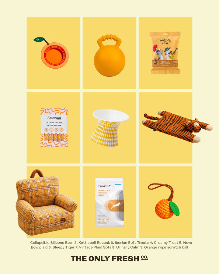 A richer palette, deeper tones, and a little more orange finding its way into the everyday.Consider this your first h...