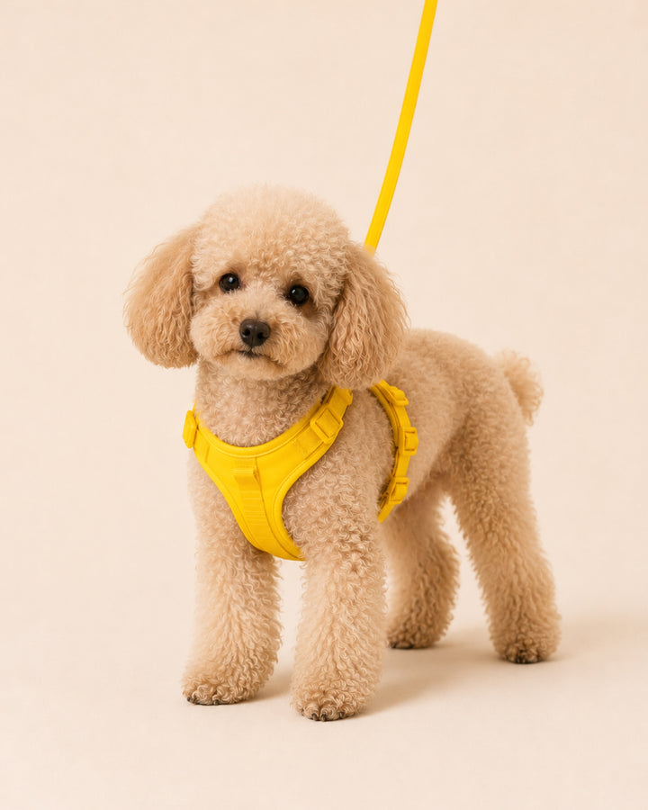 Made to grow with them. Made to go the distance 🧡The Smart Harness is lightweight, comfortable, and adjustable as you...