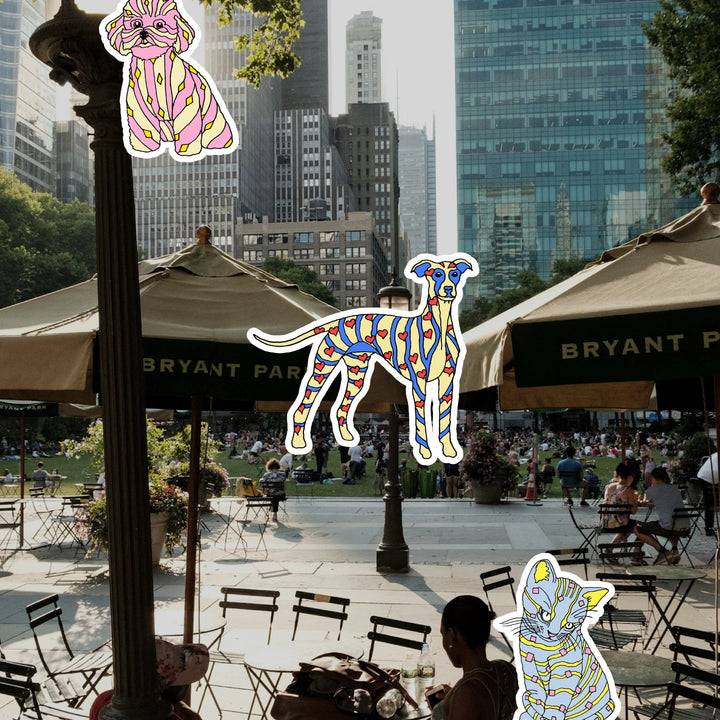 Every corner of the city is an adventure when you walk with your dog 🐕 At Only Fresh Company, we know every stroll, e...