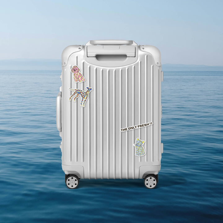 Pack less and experience more 🧡 Just don’t forget the essentials for you and your four-legged travel partner 🌞