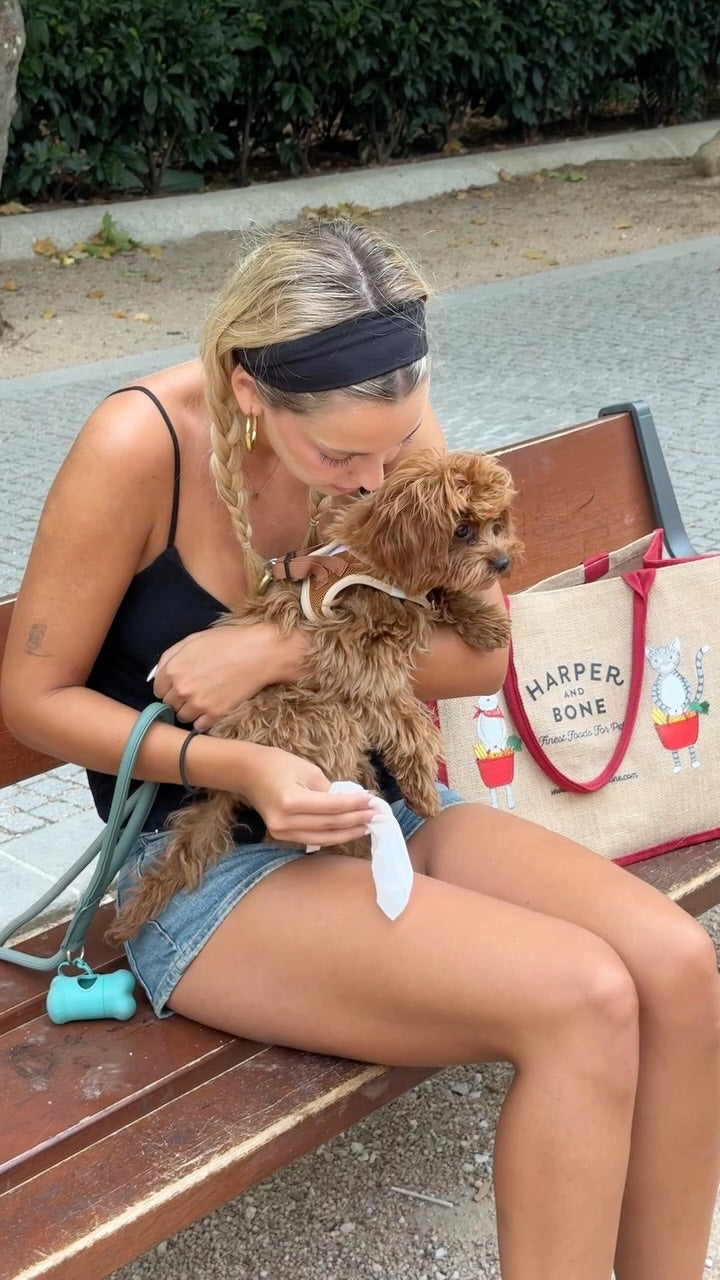 Clean paws, clean moments🧡The Only Fresh Pet Wipes are simple, practical, and always ready for whatever the day brin...