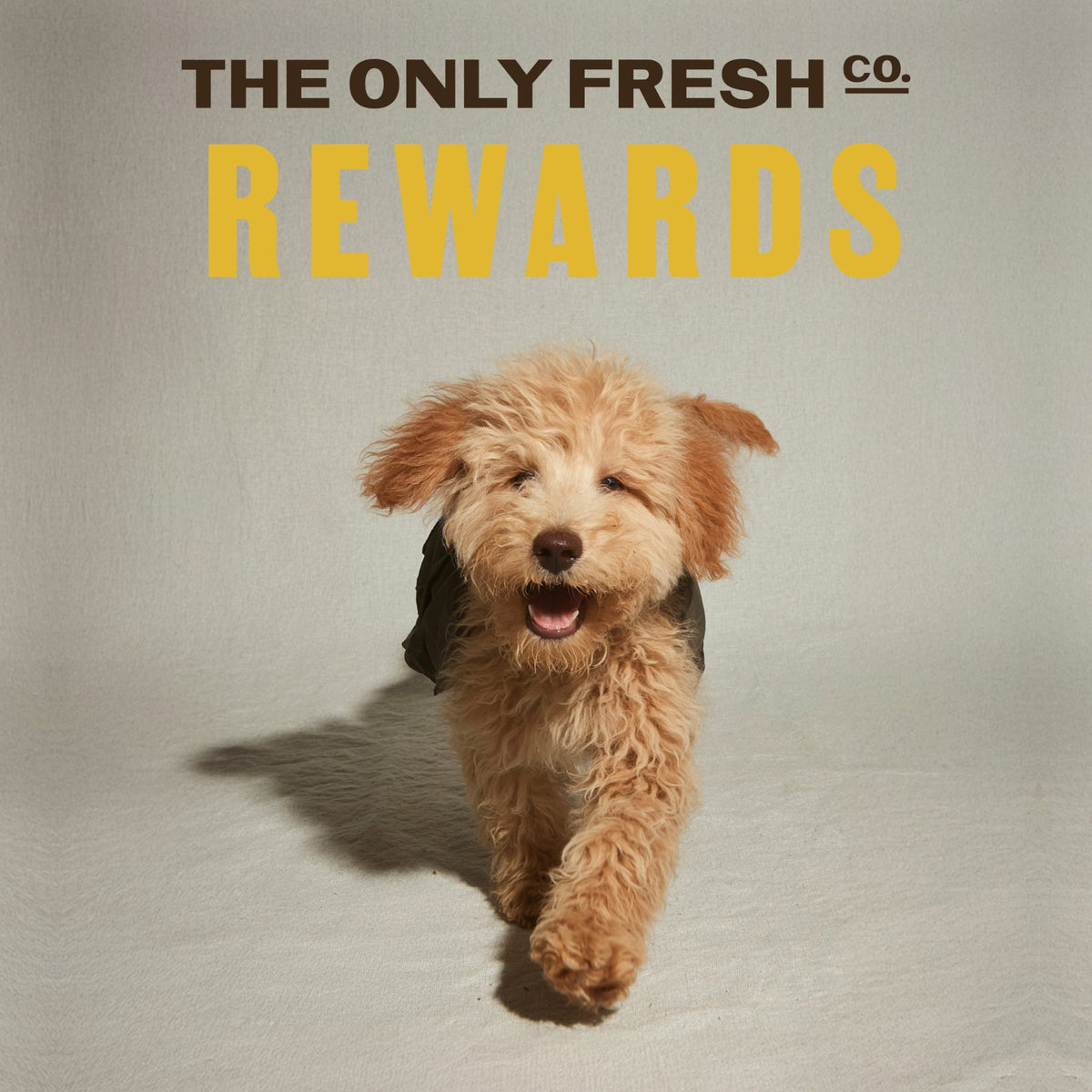 Double the rewards!