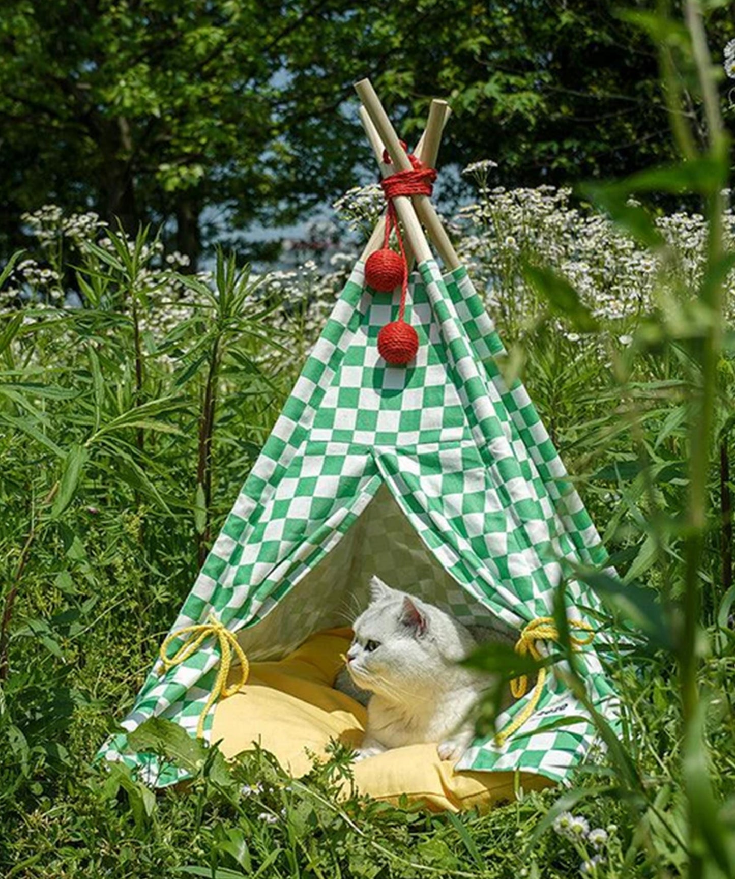 Tippy Tent