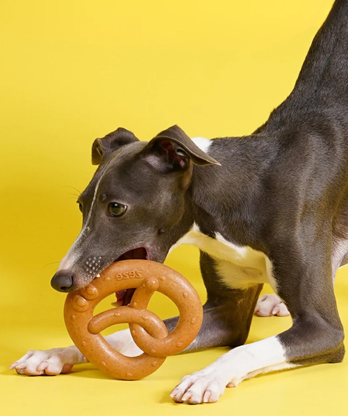 Pretzel Chew