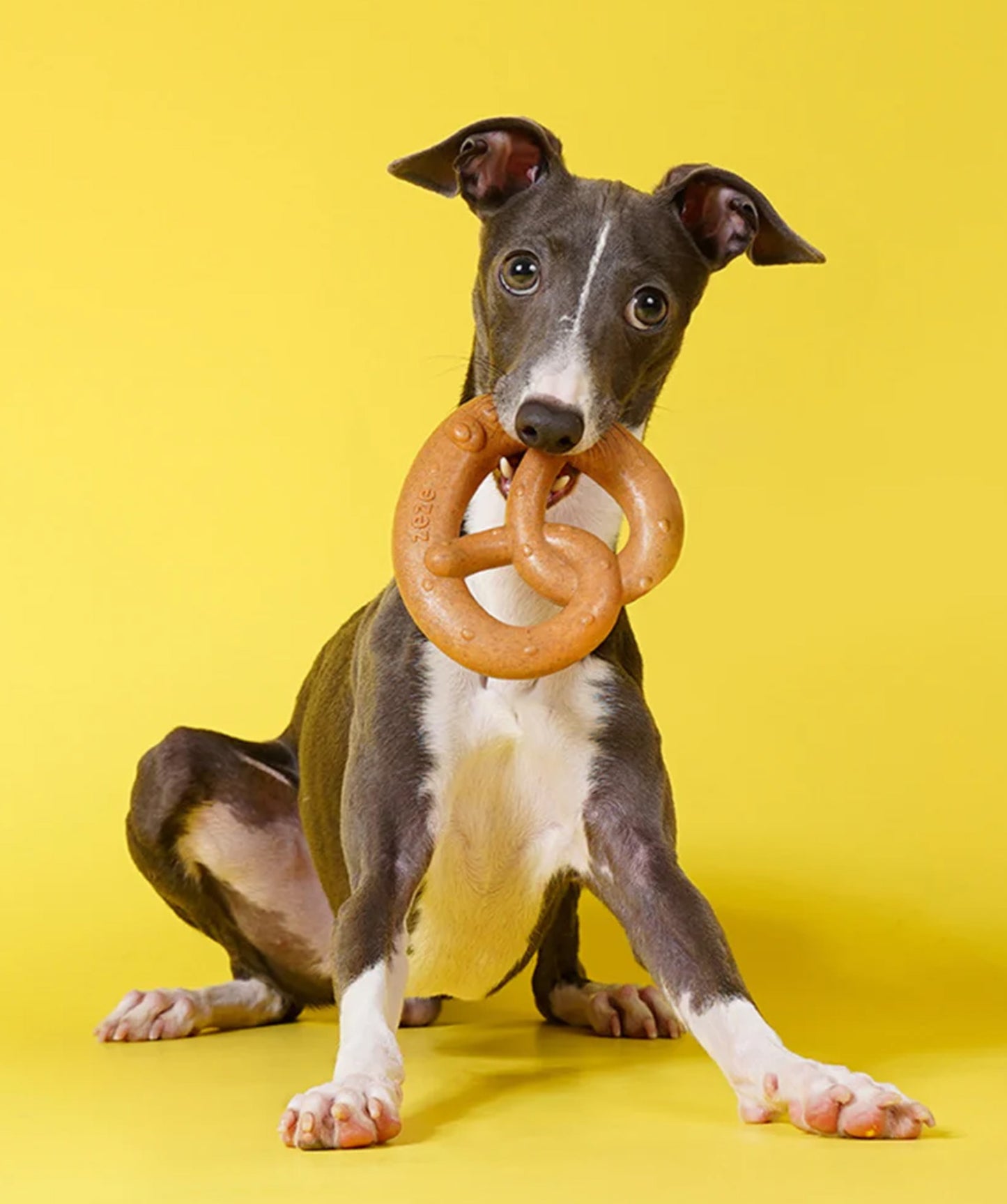 Pretzel Chew