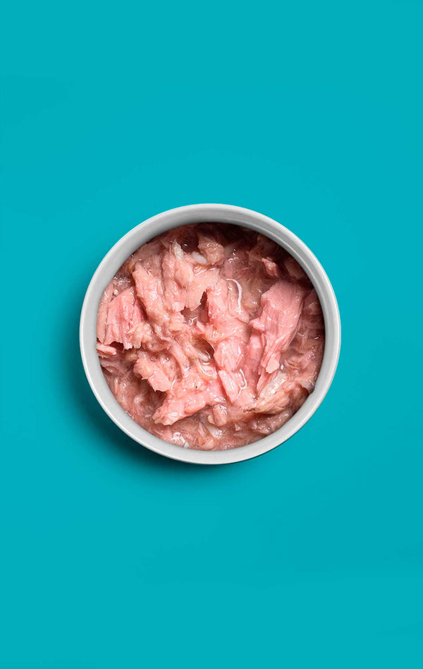 09 Atún & Anchoveta 09 Atún & Anchoveta