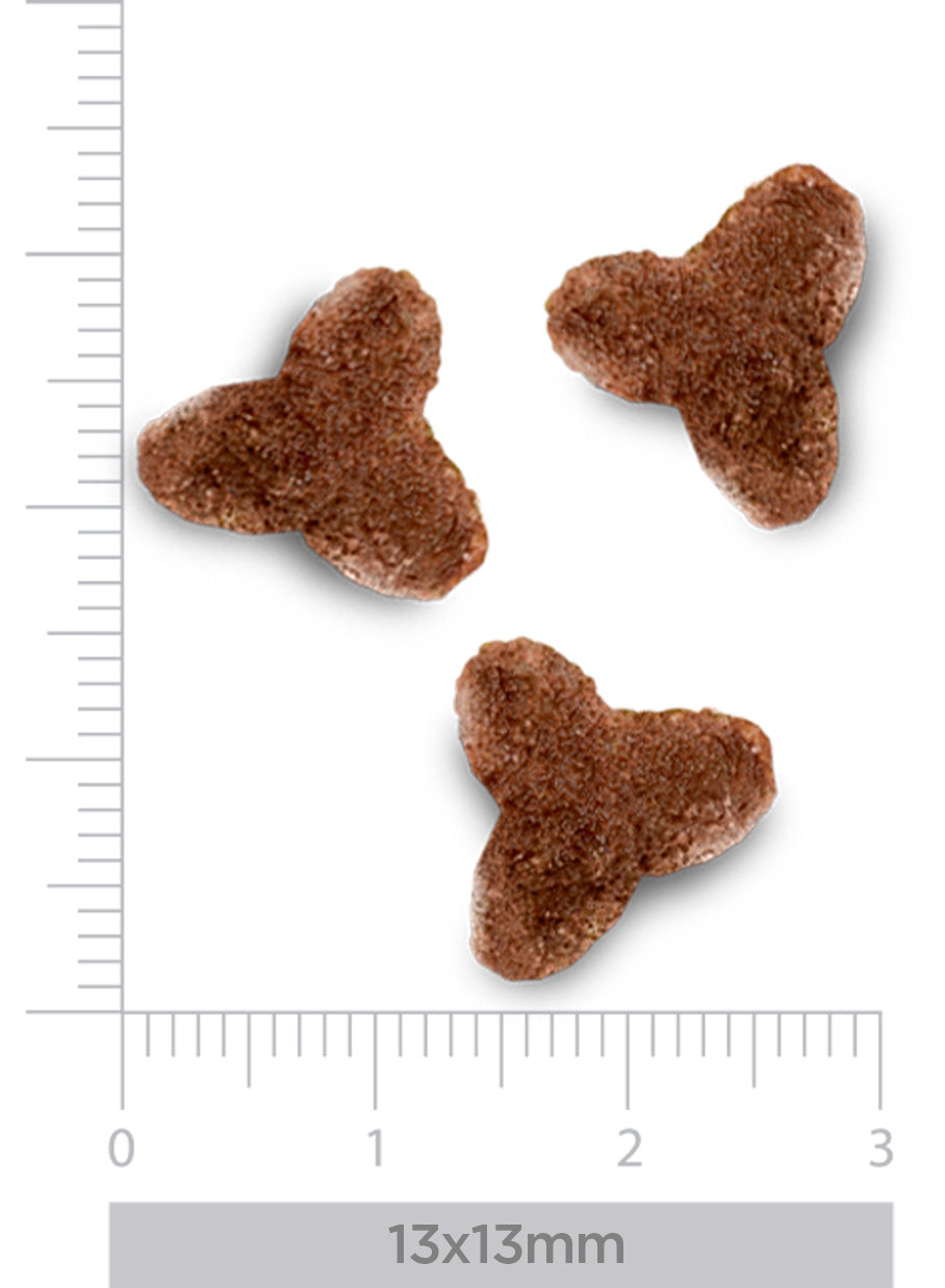 Hepatic - Voor katten