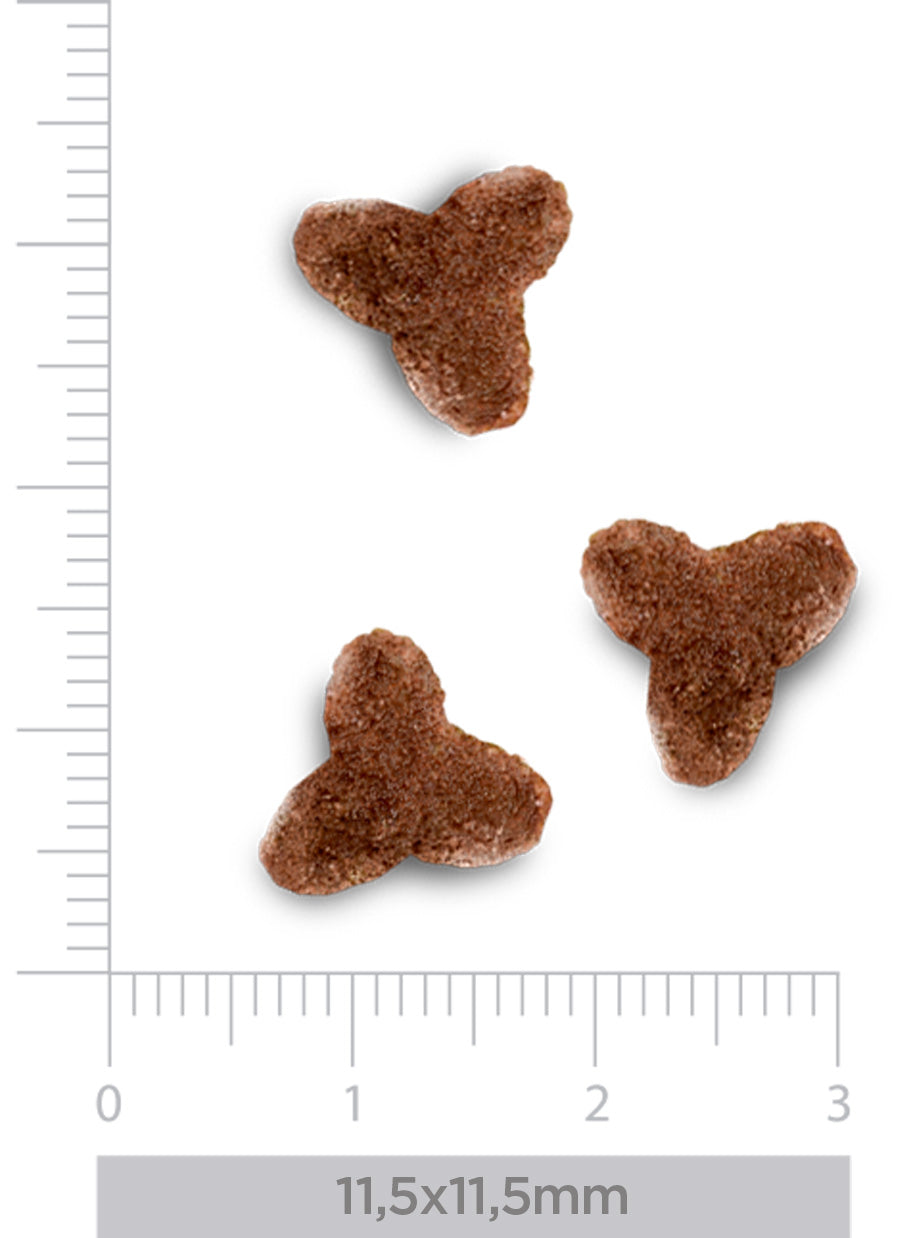 Hypoallergenic - Fresh turkey - Voor Katten