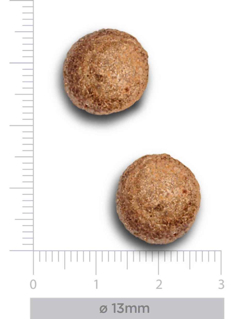 Dermal - Trockenfutter - Hund