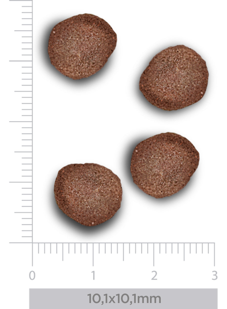 Hypoallergenic - Fresh rabbit - Erwachsener Hund