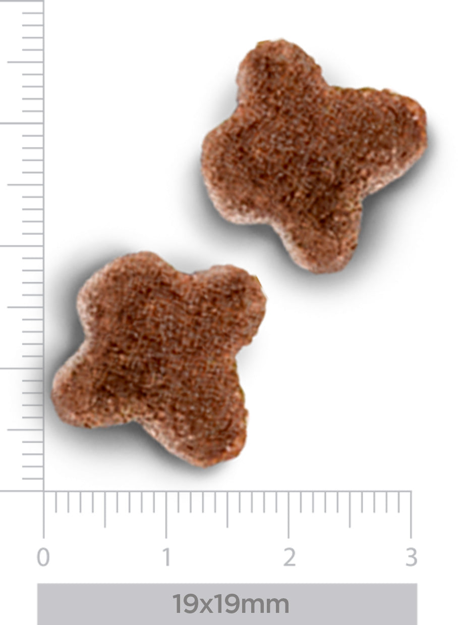 Hypoallergenic - Fresh lamb - para perros