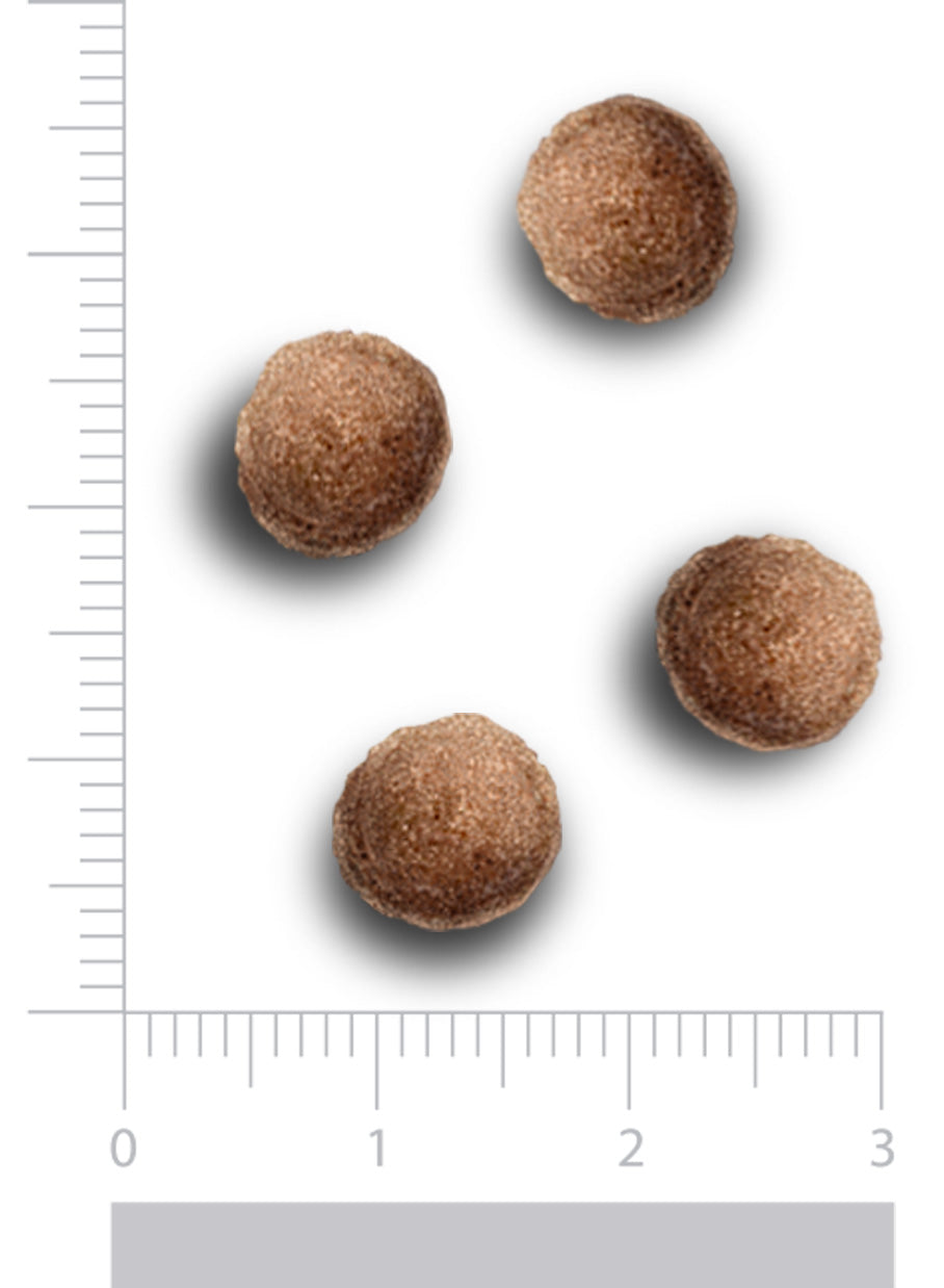 Hypoallergenic - Fresh turkey - Puppy