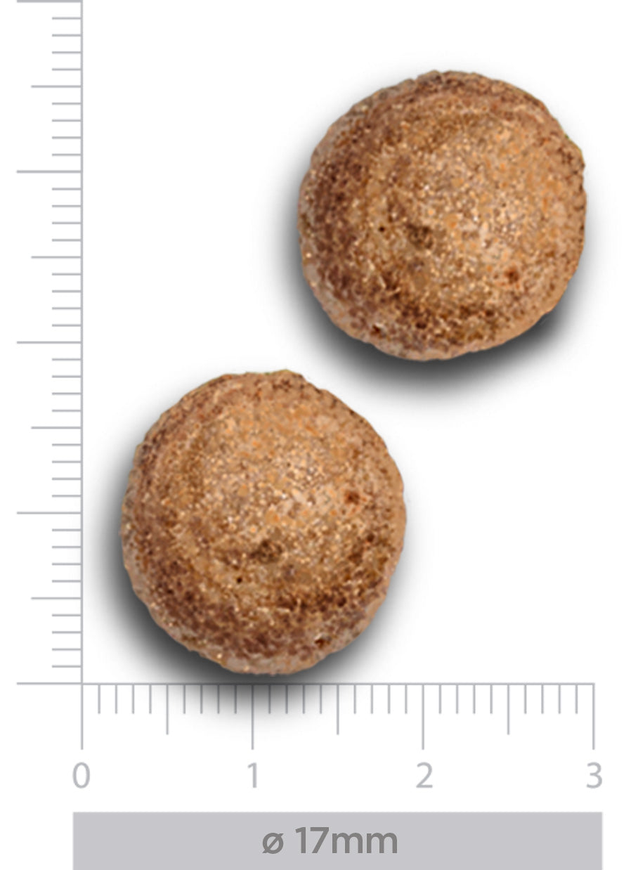 Hypoallergenic - Fresh salmon - Erwachsener Hund