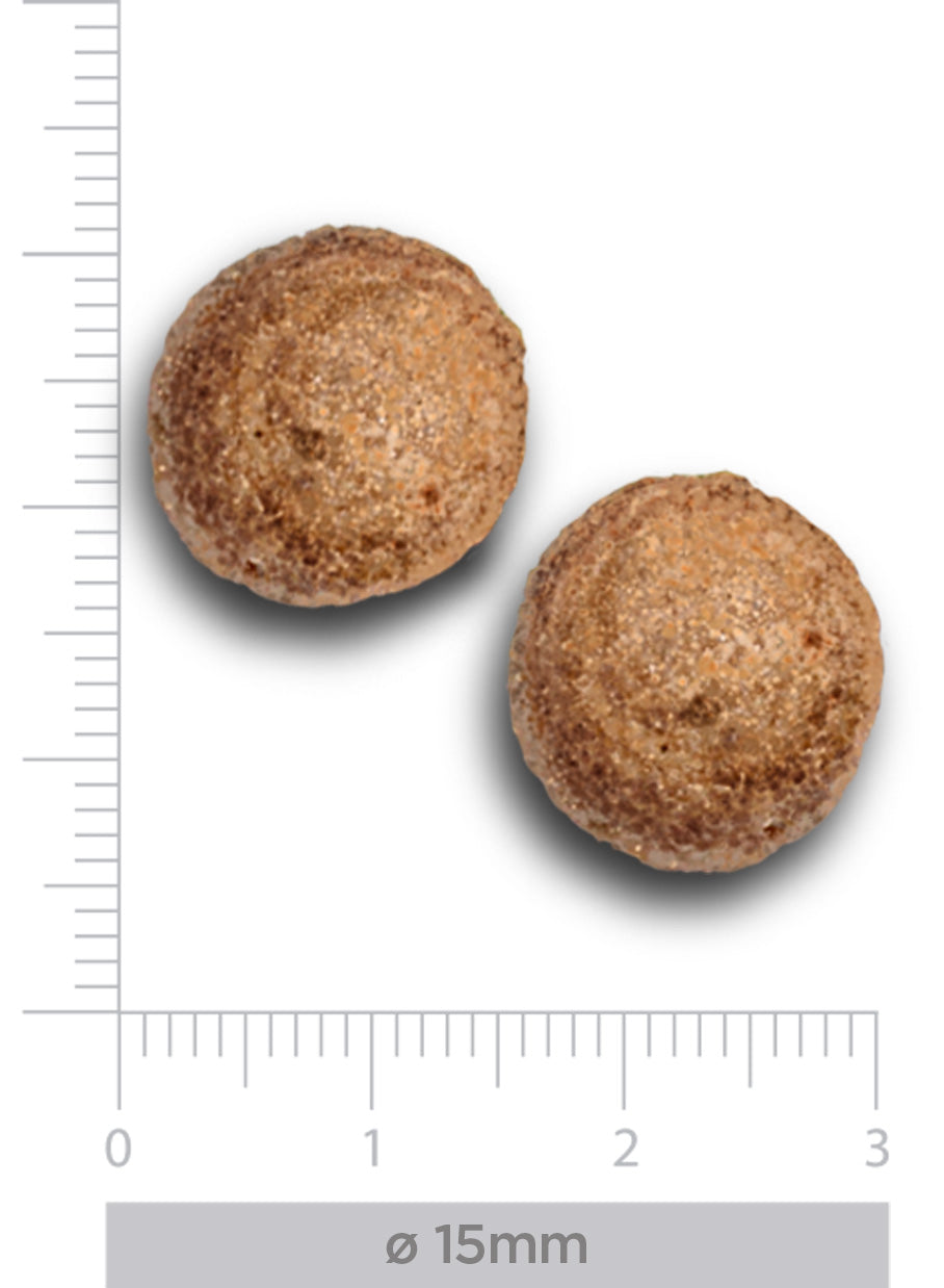 Intestinal - Fresh turkey - voor honden