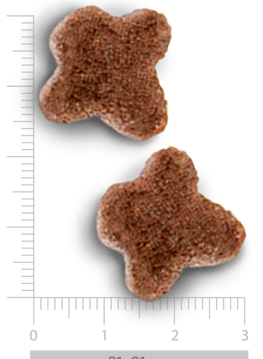 Renal & Oxalate - Erwachsener Hund