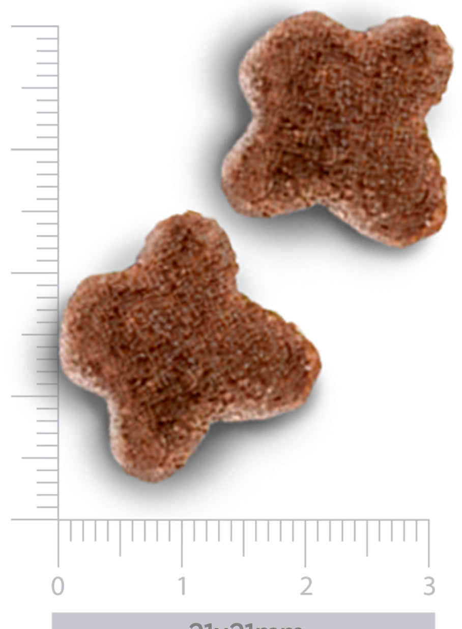 Urinary Struvite - Erwachsener Hund