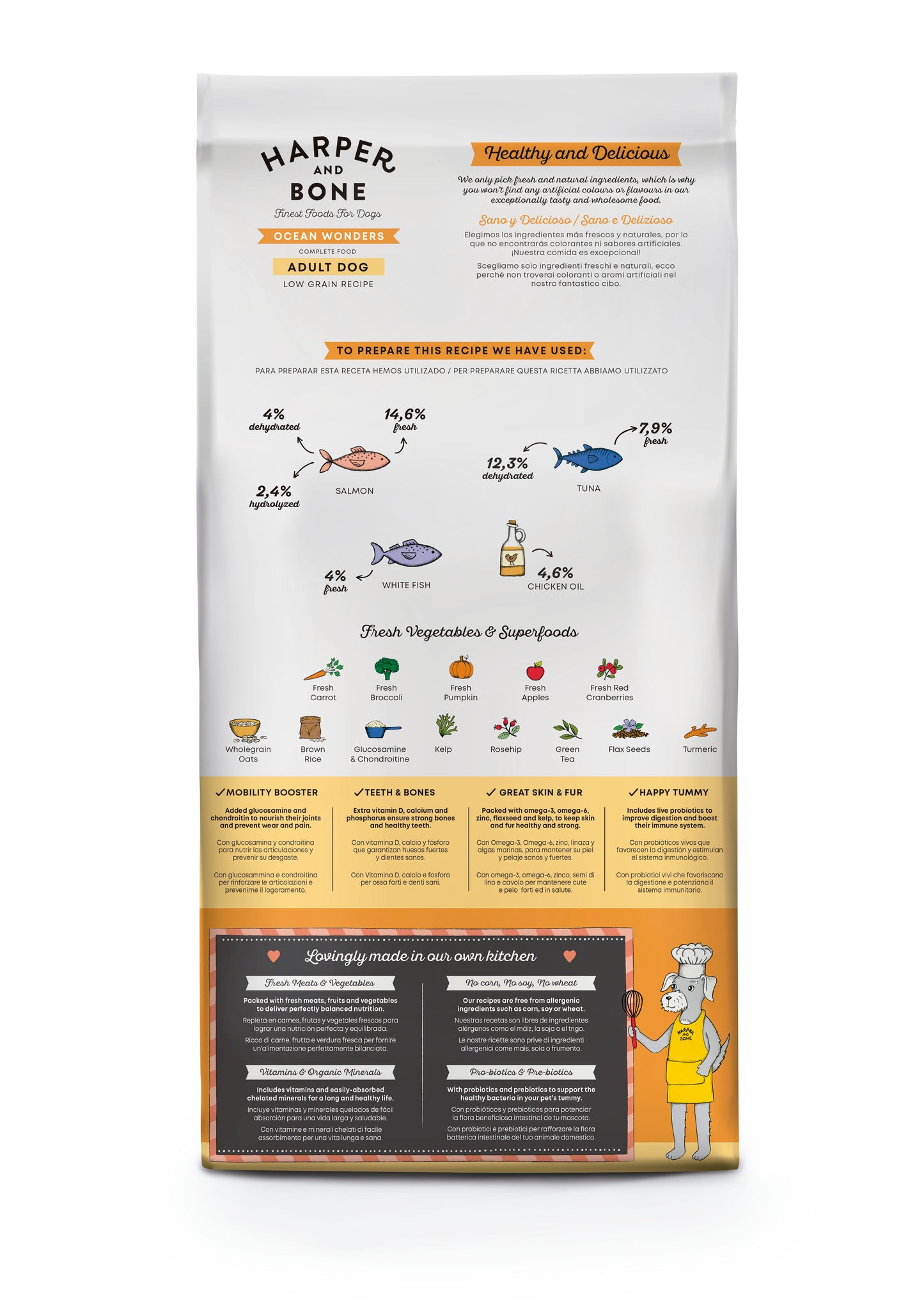 Adult - Ocean wonders