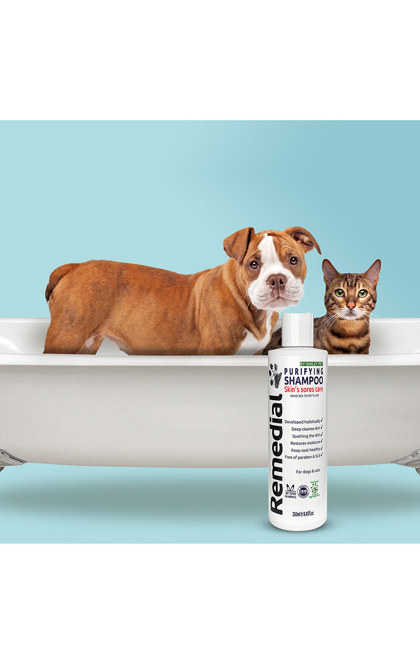 Purifying Shampoo