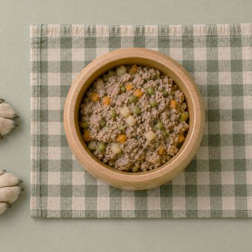 Comida casera para perros: guía completa para una alimentación natural y equilibrada