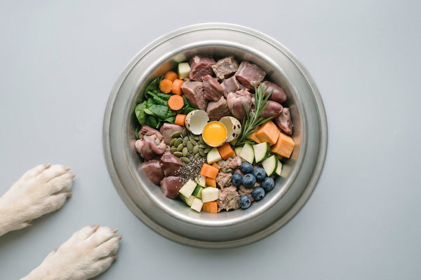 BARF diet for dogs: what it is, benefits, risks, and how to apply it correctly