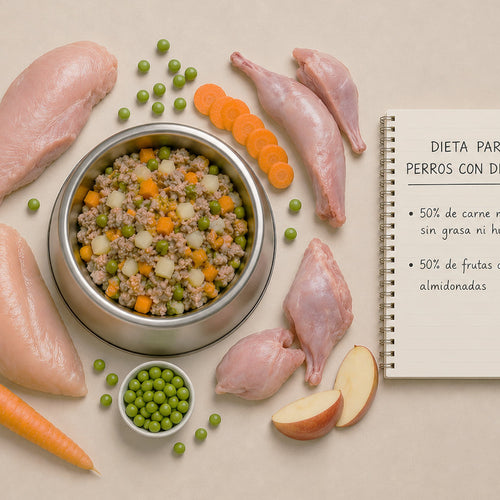 Dieta para perros con diarrea