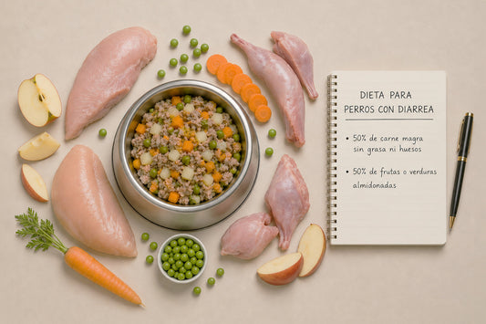Dieta para perros con diarrea