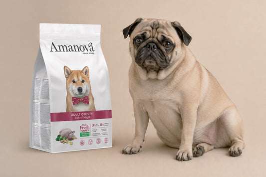 ¿Cómo elegir un alimento ligero para perros con sobrepeso?