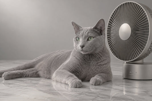 Cómo mantener fresco a tu gato en verano: señales de calor y cuidados esenciales