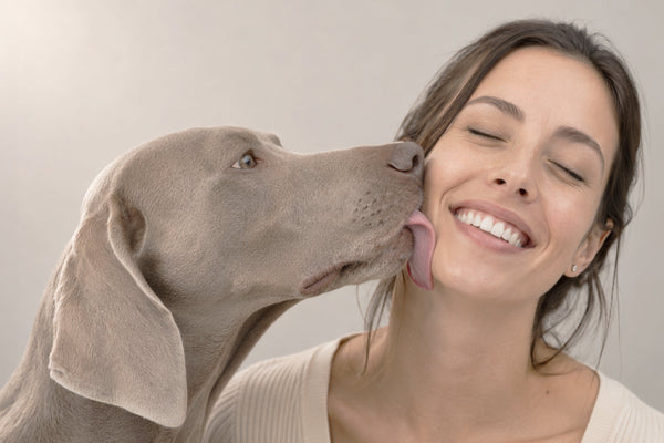 Perché il mio cane mi lecca? Tutto quello che devi sapere