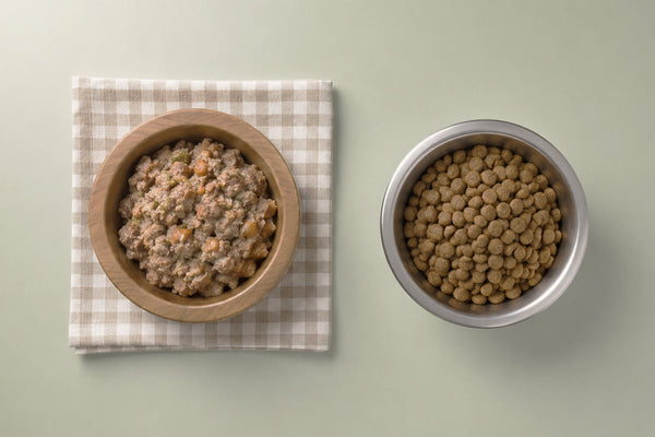 Comida casera para perros o alimentación comercial: guía para elegir la mejor opción