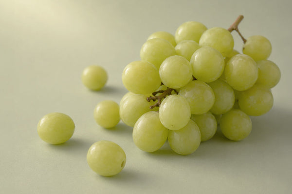 Uva e gatti: i felini possono mangiare questo frutto?
