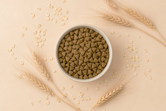 Pienso para gatos sin cereales: ¿sí o no?