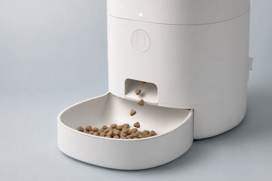 ¿Para qué sirve un dispensador de comida para gatos?