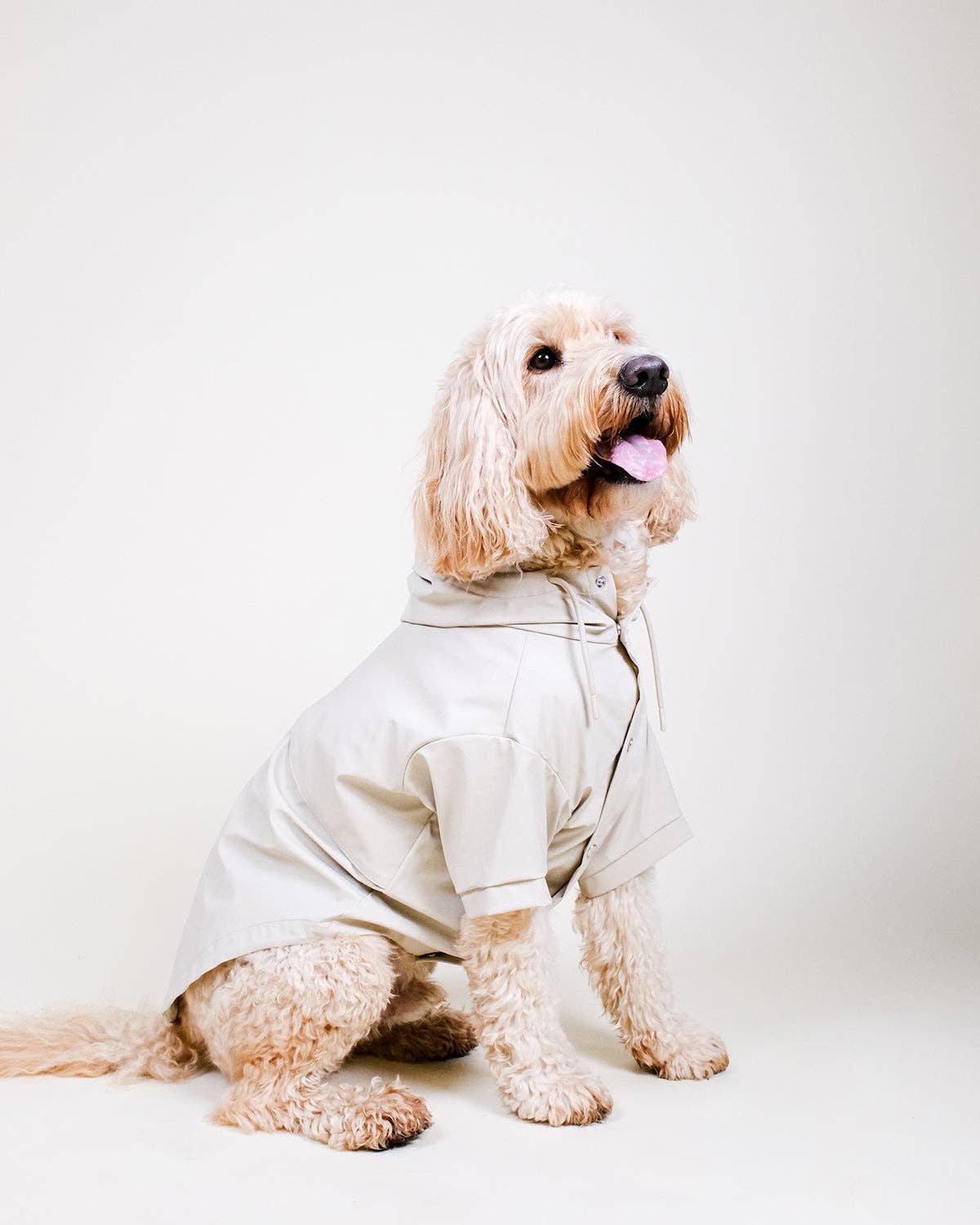 Stone Dog Raincoat - chubasquero