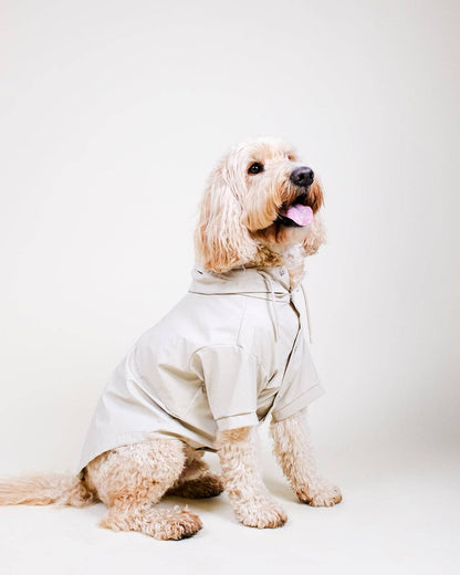 Stone Dog Raincoat - chubasquero