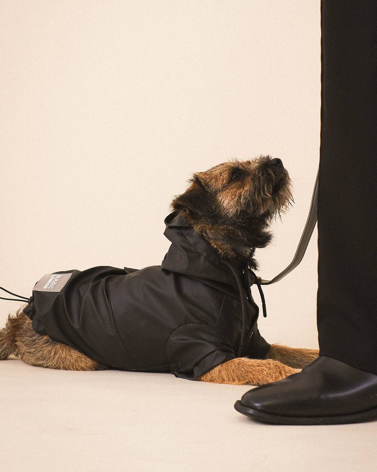 Black Dog Raincoat - chubasquero