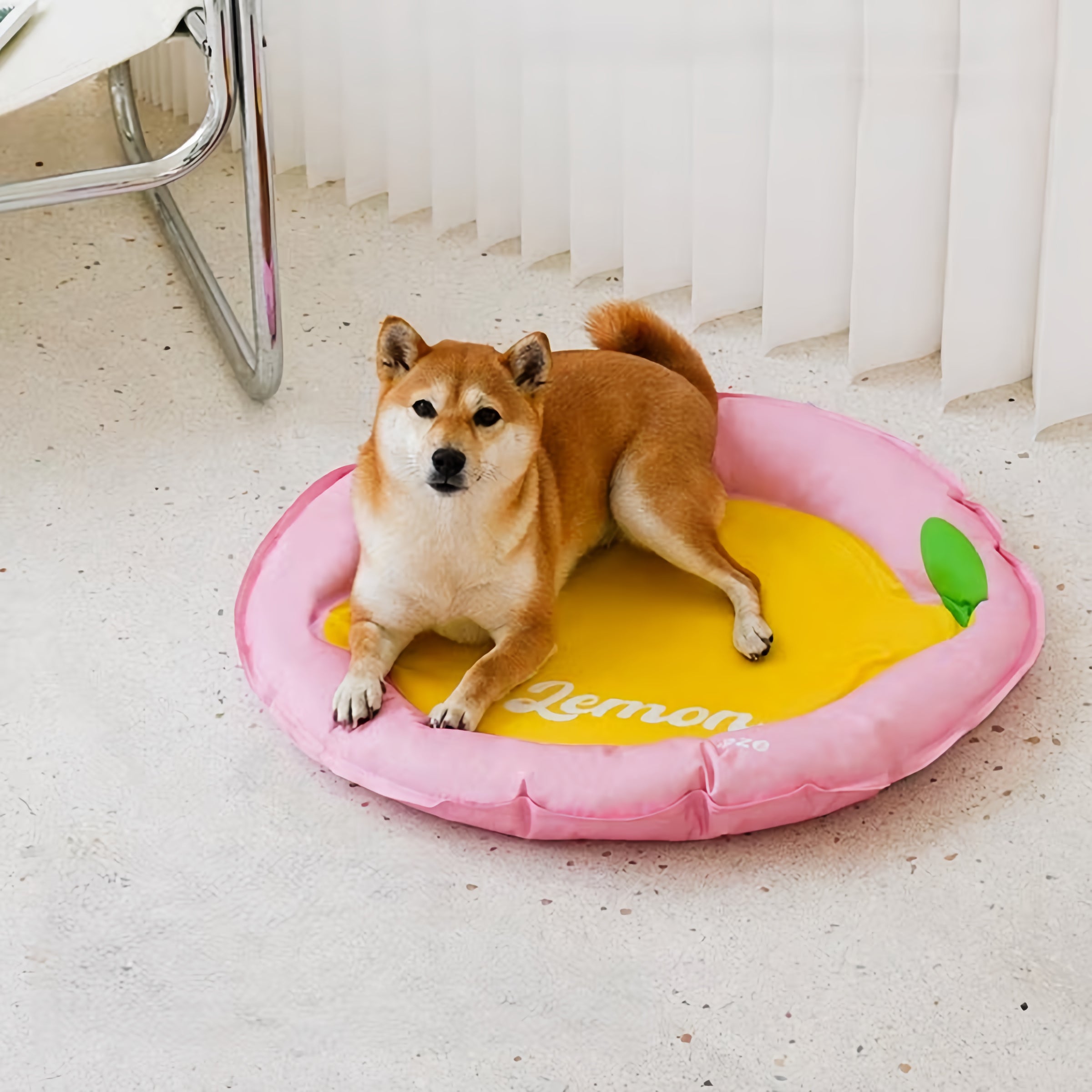 Lemon cooling