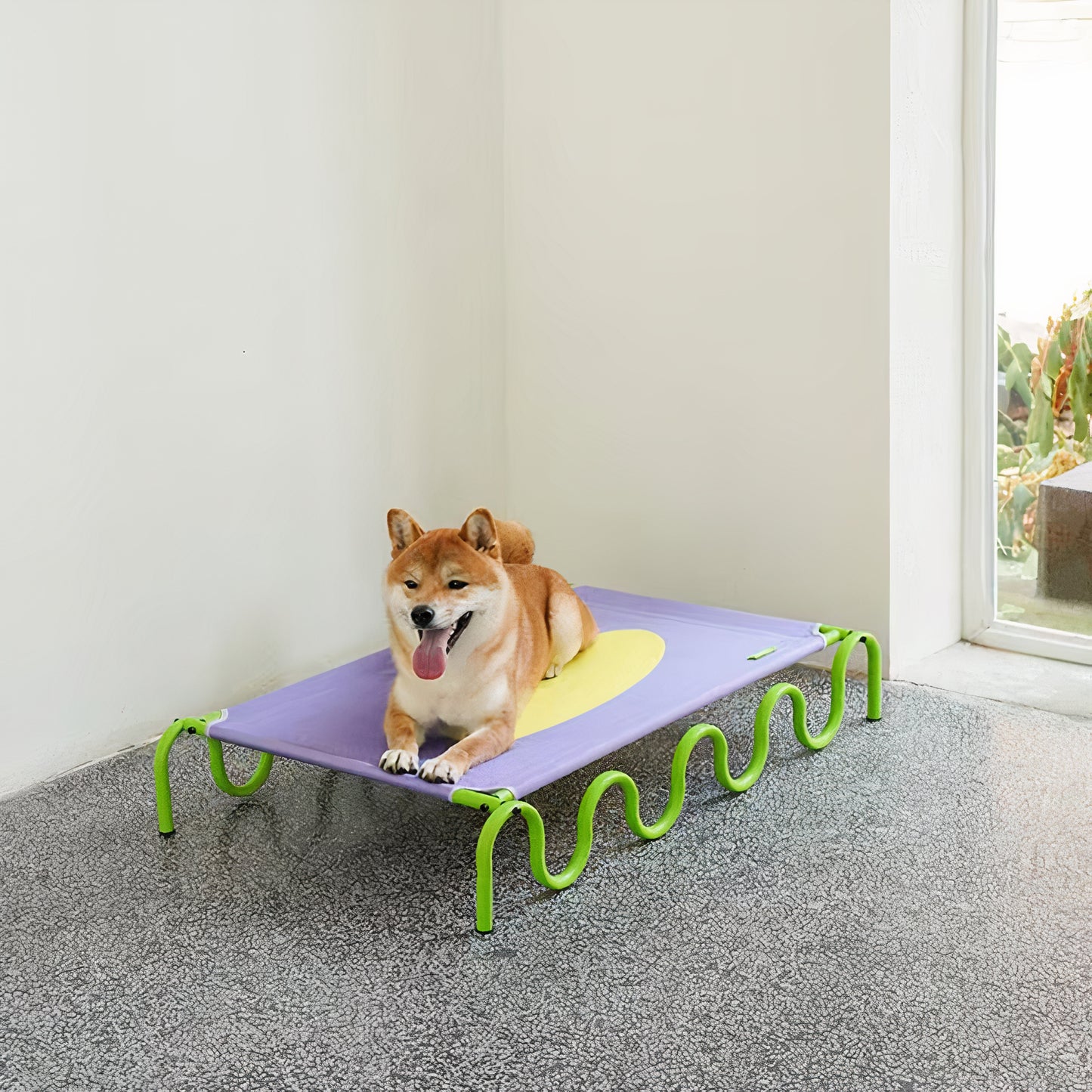 Elevated Bed