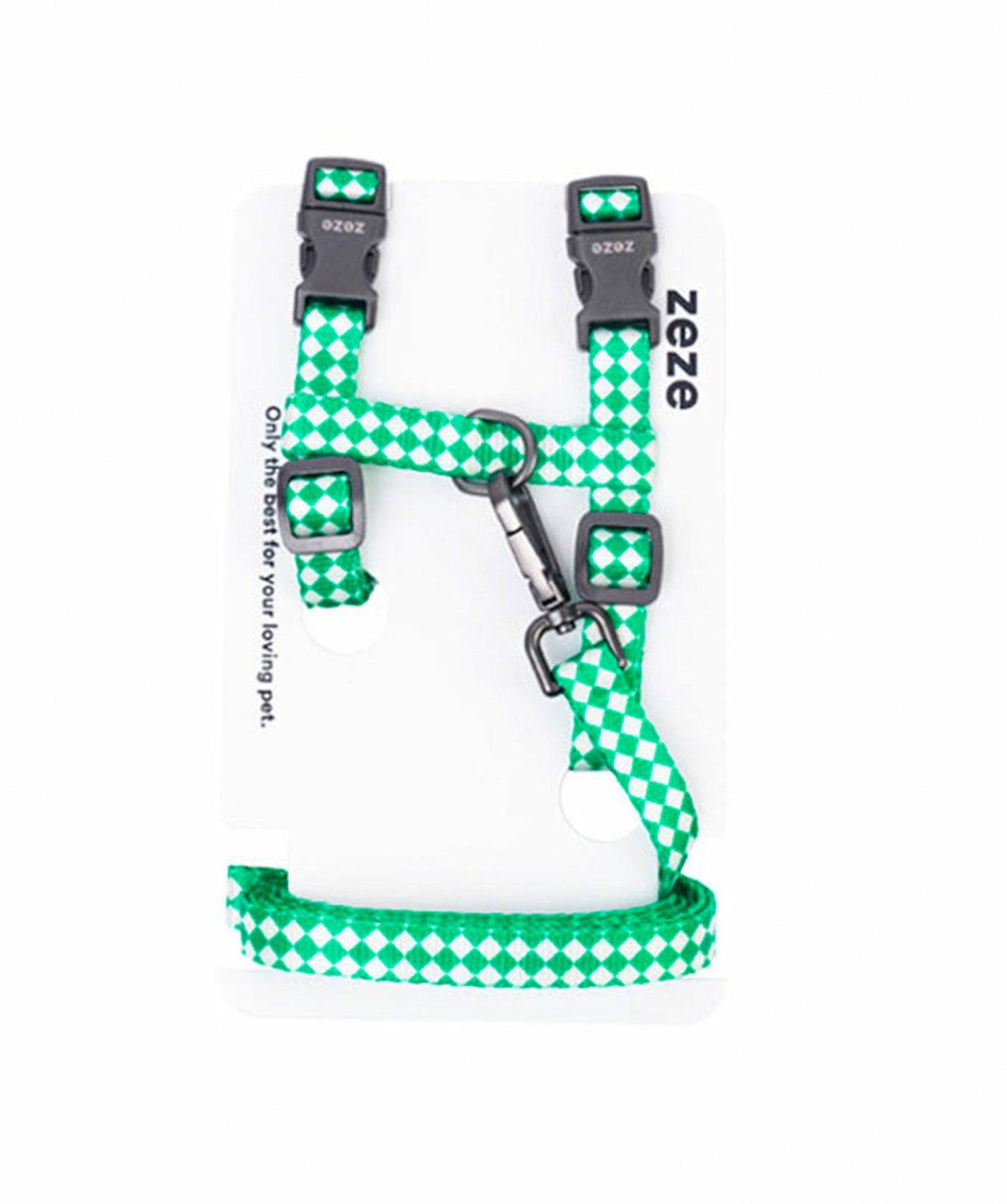 Leash & Harness Kit