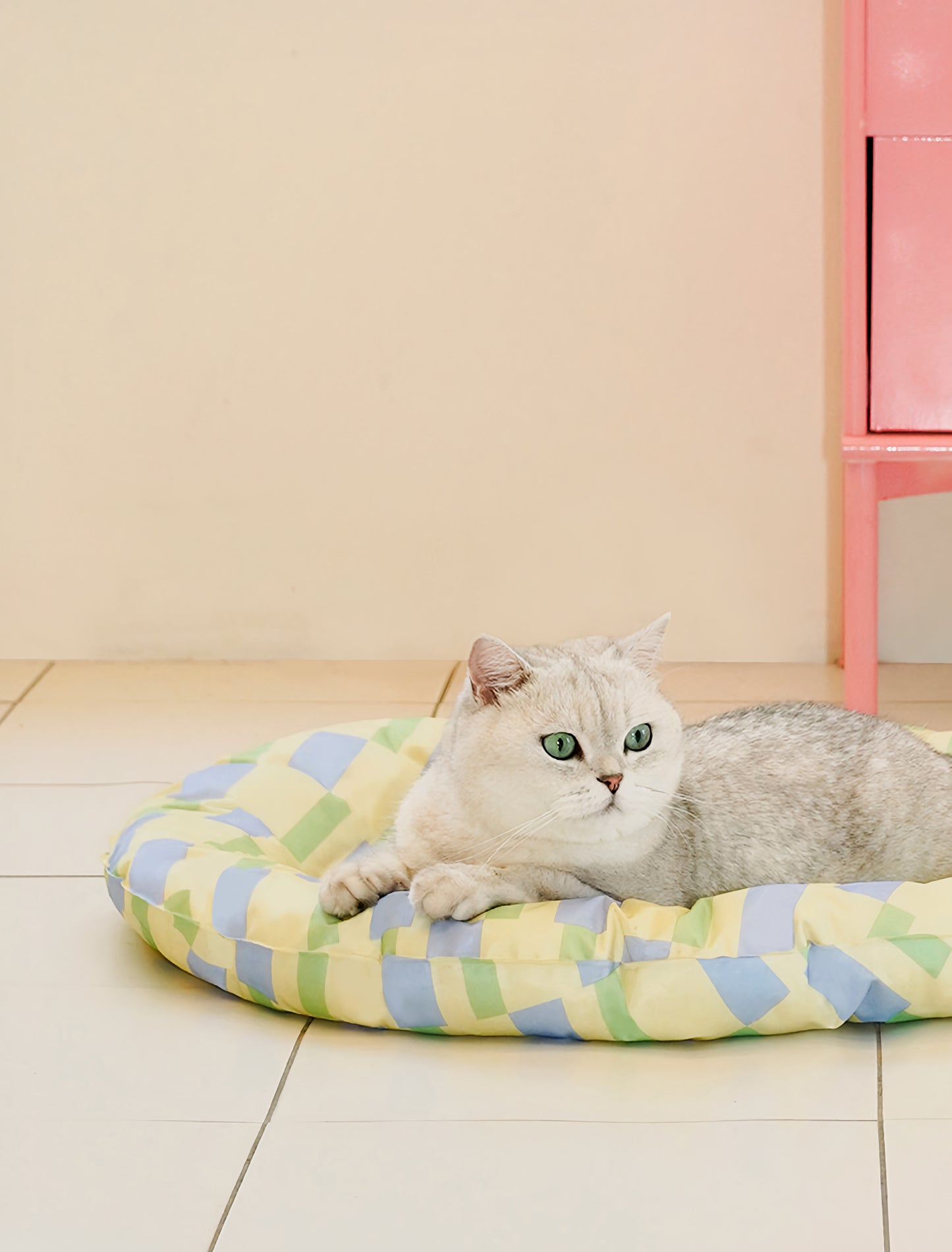 Fresh Cool Cricle Mat