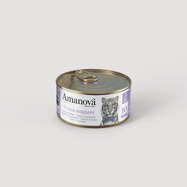 10 Thunfisch & Garnelen