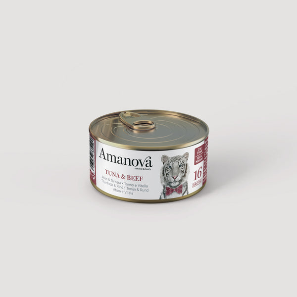 16 Thunfisch und Rindfleisch