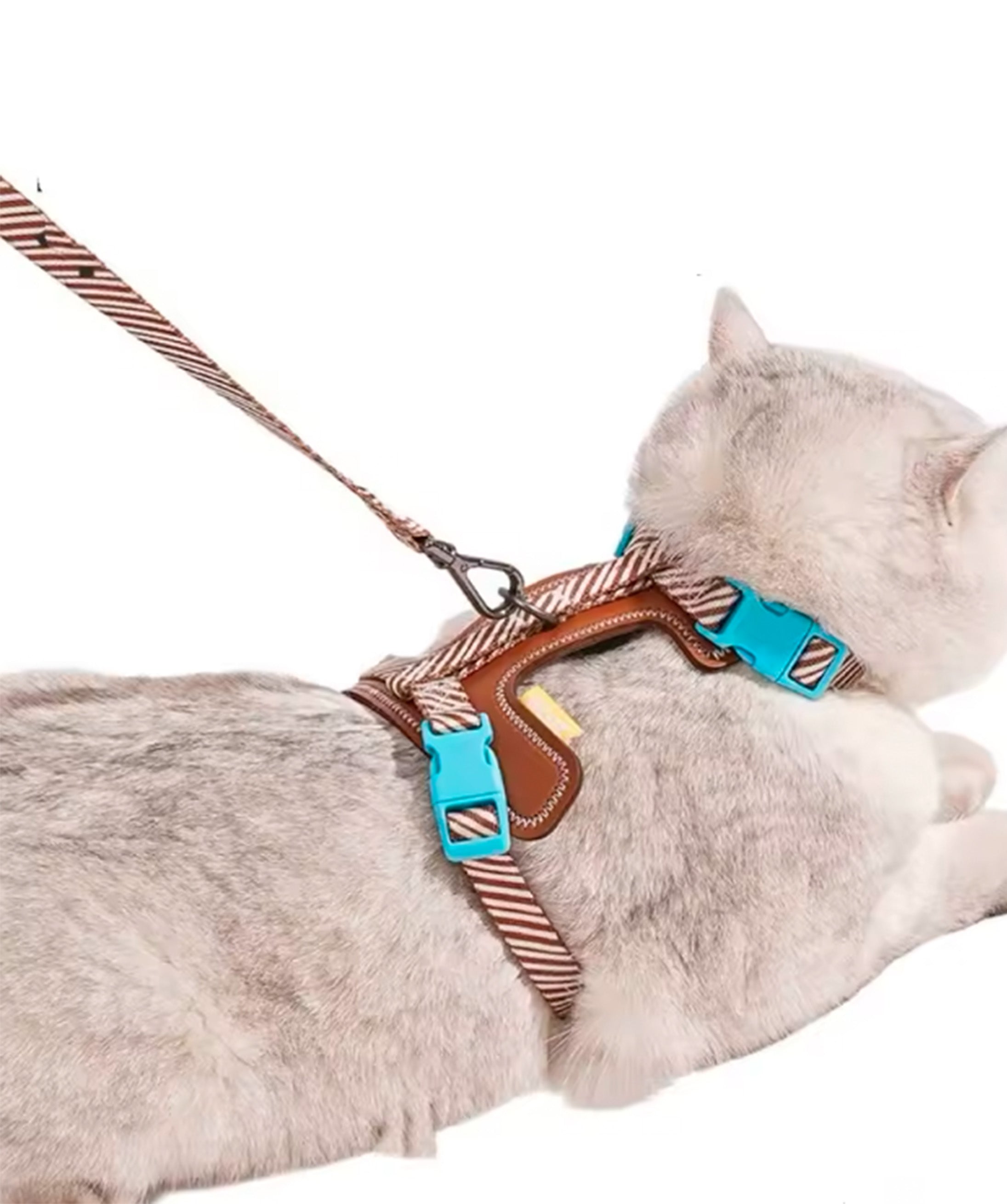 Deluxe Leash & Harness